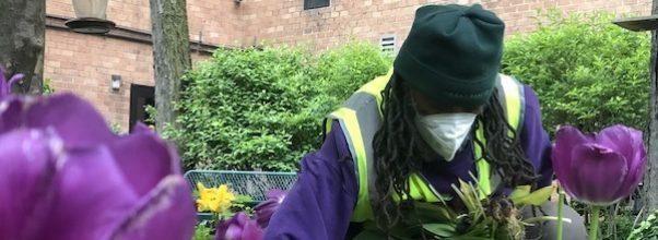 Green Keepers Help Clean Up Riverside Park