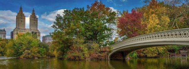 Study Ranks Central Park Among Top Relaxing Destinations in World