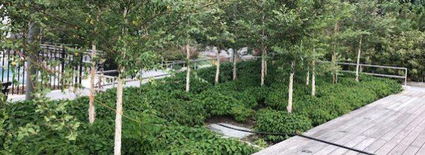 New Section of Riverside Park South Open