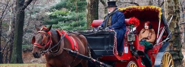 Returning Horse Carriages Spark Protests (Videos)