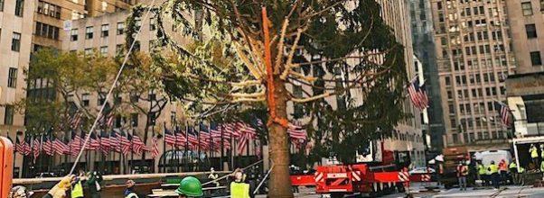 2020 Rockefeller Center Christmas Tree Arrives, People Scratch Heads