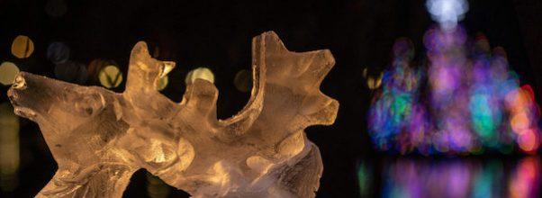 Central Park Holiday Lighting Goes Virtual