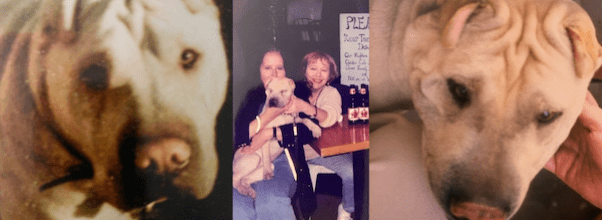 Remembering West Side Harry