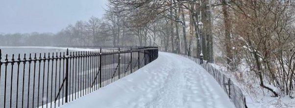 Winter Storm Orlena: Stunning, Snow-Filled Snapshots