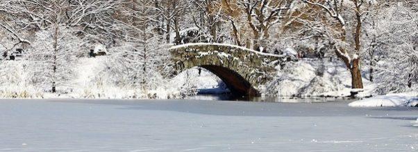 Huge Group Walks on Central Park’s Frozen Lake