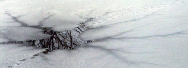 On Thin Ice: A Close Call in Central Park
