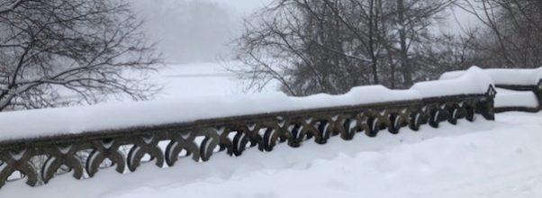 Winter Storm Orlena: Pics + Updates