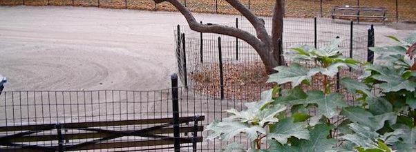 “Why My Kids Are Afraid of Riverside Park,” Written by an Anonymous Neighbor