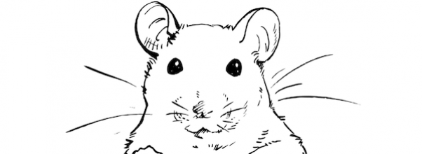Remembering the Nightmare: The 74th Street Rat House