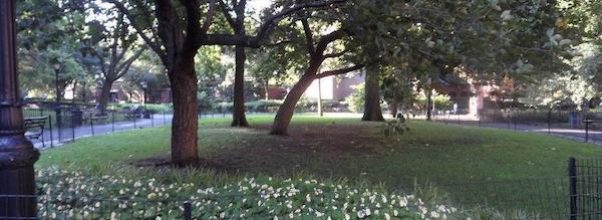 ‘Naked Man’ Sightings on Upper West Side