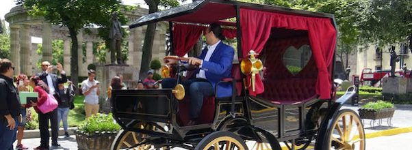 Animal Protection Groups Call on Mayoral Candidates to Replace Central Park Horses with Electric Carriages