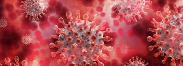 Vaccination Incentives & Updated Mandates