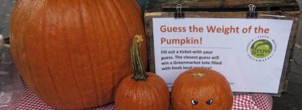 Guess the Pumpkin’s Weight – A Halloween Tradition