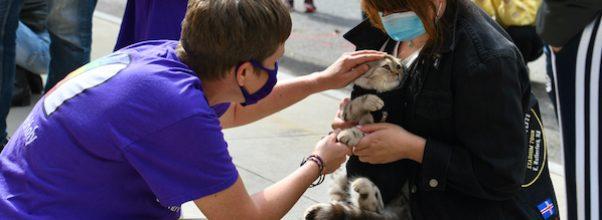 The Blessing of the Animals at St. Paul and St. Andrew