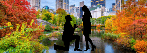Central Park Proposal Goes Viral