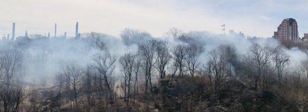 Part of Central Park Catches Fire