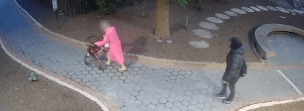 Man Steals Purse From 90-Year-Old Woman
