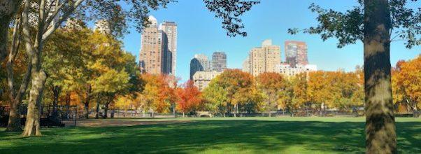 “Say Their Names”: An Augmented Reality Memorial in Central Park