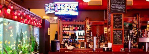 Dive 75: Beer, Candy and Some Difficult Questions