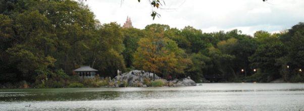 Body of Elderly Man Found in Central Park’s Turtle Pond