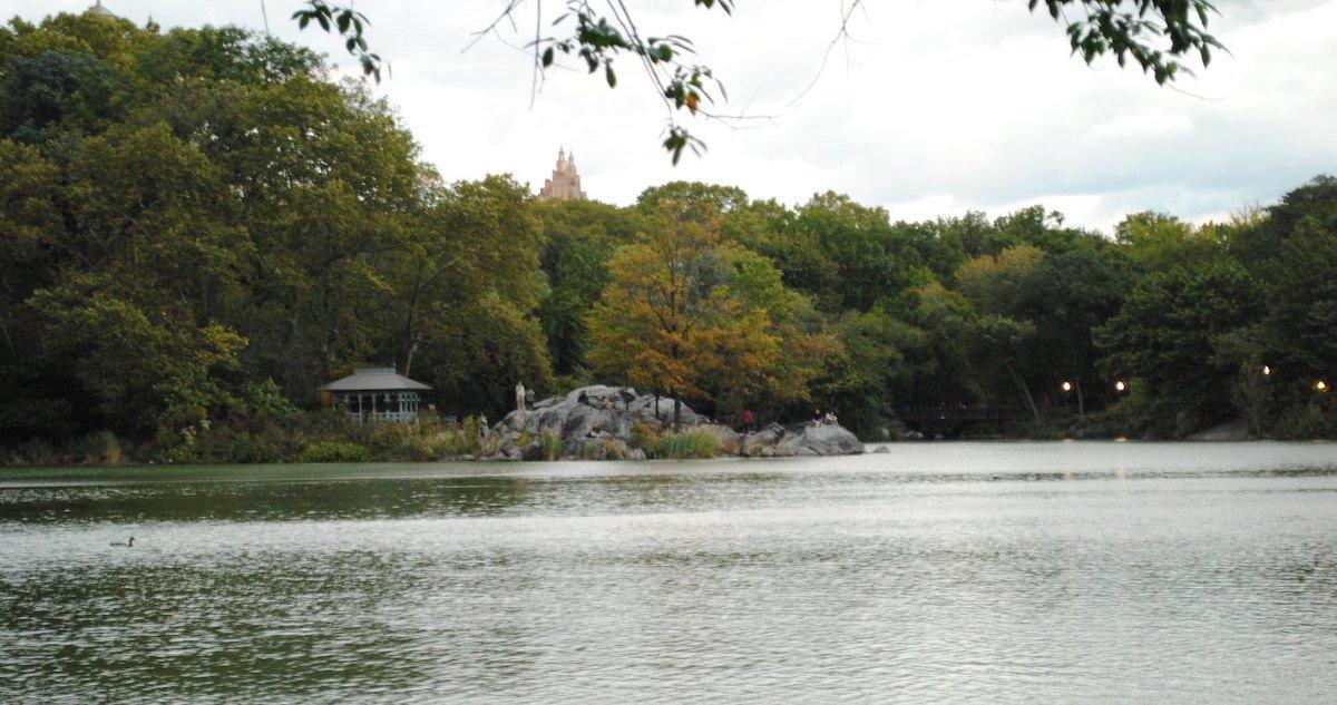 Body of Elderly Man Found in Central Park's Turtle Pond ...