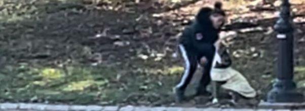 ILTUWS Reader Witnesses Man Abusing Dog