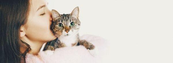 Manhattan Meow: Female-Owned Pet-Sitting Biz Pawsibly Top-Rated in City