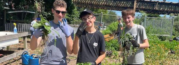 Repair the World’s Summer Teen Service Corps Is Back