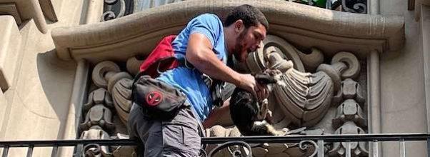 Man Saves Cat From Ledge