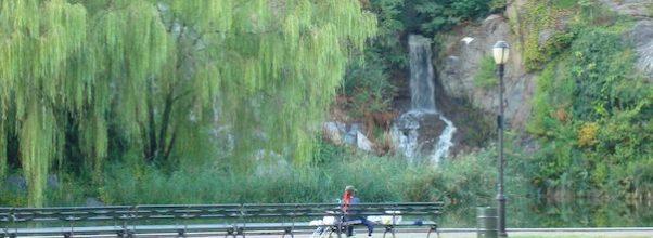 Petition Launched to Fix Morningside Park Pond and Waterfall