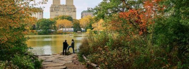 A Roundup of Outdoor Entertainment on the Horizon