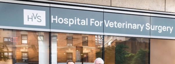 A New Animal Hospital Opens on the UWS
