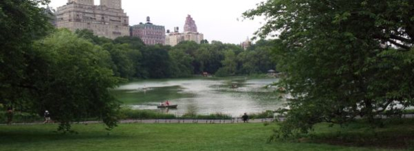 Victim of Fallen Tree in Central Park Gets $5.5 Million Settlement