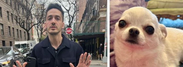 VIDEO: Google Employee Arrested for Kicking Chihuahua