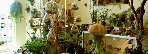 Japanese Floral Design Shop to Open on West 86th Street
