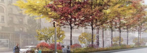 Broadway Mall Association Embarks on New Restoration Project