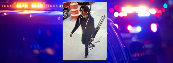 Central Park Camera Thief Wanted