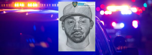 Police Release Sketch of Central Park Sexual Assault Suspect