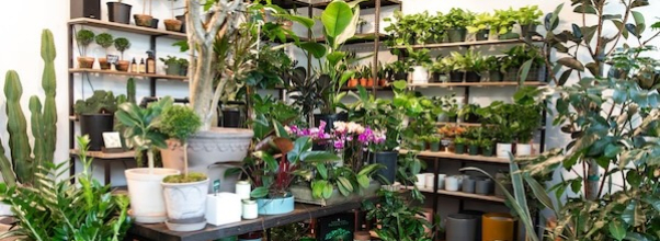 New Plant Shop to Replace The Sill on Amsterdam Ave