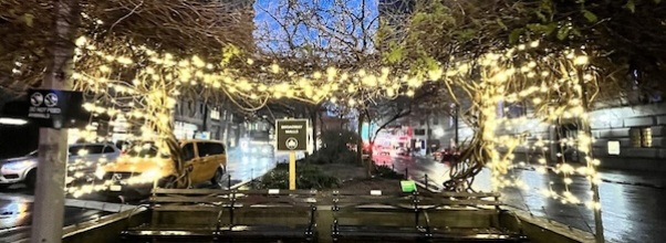 Broadway Mall Association Announces Annual Winter Lighting