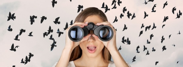 Join the 125th Christmas Bird Count in Central Park!