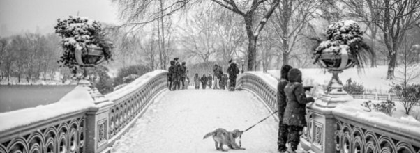PHOTOS: Central Park Through Our Eyes