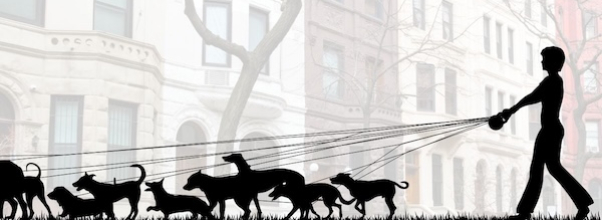 The Real Dog Walkers of the Upper West Side