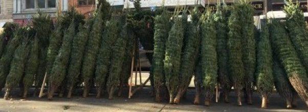 Holiday Events 2015