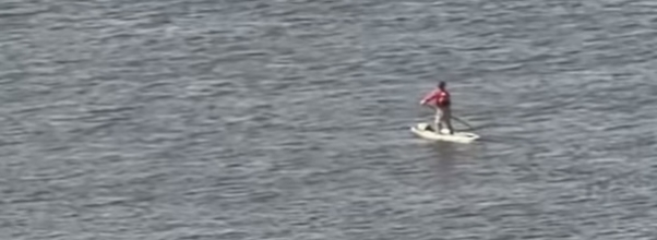 Mystery Paddleboarder Spotted Cruising the Icy Hudson From the Upper West Side