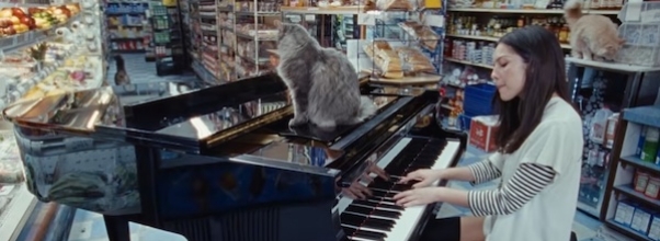 Olivia Rodrigo Just Shot Her New Music Video All Over the Upper West Side — and a Neighborhood Cat Stole the Show