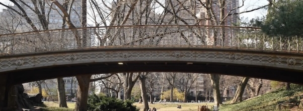 Central Park Conservancy Plans Up to $1.5 Million Fix for a Spot Where Park-Goers Keep Getting Stuck