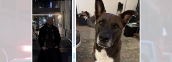 “He’s Obviously Struggling”: UWS Resident Recounts Disturbing Encounter with Alleged Arsonist Who Kicked His Dog “He’s Obviously Struggling”: UWS Resident Recounts Disturbing Encounter with Alleged Arsonist Who Kicked His Dog