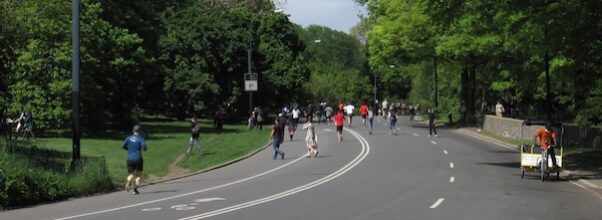 Pedestrian Safety While Crossing the Central Park Drives