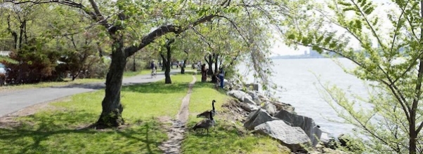 Cherry Walk Reopens After Repairs